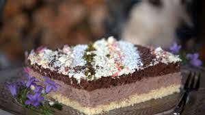von agnes jennek aus recklinghausen und caro kostros aus velen ramsdorf die kuchen von oma agi begleiten jennek sch kuchen kuchen und torten kuchen ohne backen