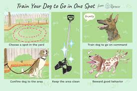 We did not find results for: How To Train Your Dog To Go Potty In One Spot
