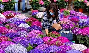 Check spelling or type a new query. People Buy Flowers To Celebrate Mother S Day In Beirut Global Times