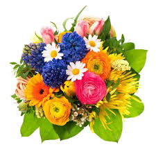 August birth flowers are gladiolus: Schonen Blumenstrauss Bunte Stock Bild Colourbox