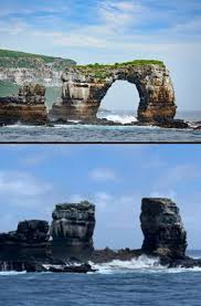Search free darwin arch ringtones and wallpapers on zedge and personalize your phone to suit you. Jewq44iqof61wm