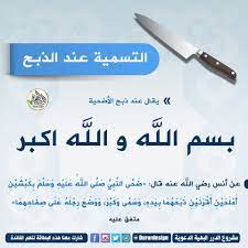 ال ما يقال عند النوم إذا أخذَ مضجَعَهُ مِنَ اللّيلِ وَضَعَ يدهُ تَحت خدِّه ثمَّ يقولُ : Ù…Ø´Ø±ÙˆØ¹ Ø§Ù„Ø¯Ø±Ø± Ø§Ù„Ø¨Ù‡ÙŠØ© Ø§Ù„Ø¯Ø¹ÙˆÙŠØ© Ø¹Ù„Ù‰ ØªÙˆÙŠØªØ± Ù…Ø§ ÙŠÙ‚Ø§Ù„ Ø¹Ù†Ø¯ Ø§Ù„Ø°Ø¨Ø­ Ø£Ø­ÙƒØ§Ù… Ø§Ø¶Ø­ÙŠØ©