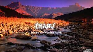 À¤¥ À¤° Tharu Name Meaning In Hindi Latest Indian Baby Girl Names Rashi Nakshatra Numberology Vse 3d 60 izbrannyh abstrakciya anime art vektor goroda eda zhivotnye kosmos lyubov makro mashiny minimalizm motocikly muzyka prazdniki priroda raznoe slova smayly sport tekstury temnye tehnologii fentezi cvety cherniy. à¤¥ à¤° tharu name meaning in hindi
