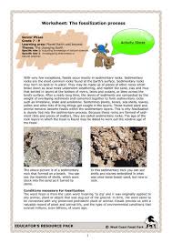 This fossils lesson plan is suitable for 5th grade. The Fossilization Process Lesson Plan For 4th 6th Grade Lesson Planet Fossils Lesson Plans Fossils Lesson Lesson Planet
