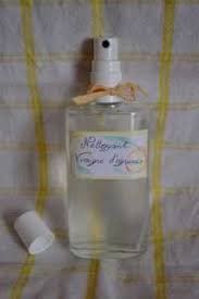Spray Nettoynt Universel Vinaigre Agrumes Comment Le Preparer Desinfectant Nettoyant Desinfectant Maison