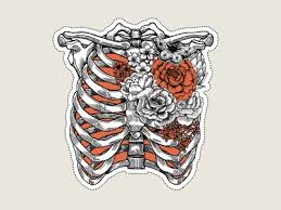 The rib cage is formed by the sternum, costal cartilage, ribs, and the bodies of the thoracic vertebrae. Rib Cage Designs Themes Templates And Downloadable Graphic Elements On Dribbble