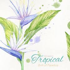 Watercolor Bird Of Paradise Png Bird Of Paradise Clipart Wedding Elements Watercolor Tropical Flower Digital Bouquet Green Leaves Strelitzia Arrangement Botanical Png Bird Of Paradise Wedding Green Wedding Bouquet Birds Of Paradise Flower