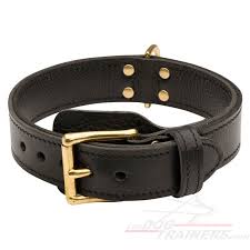Whatever you're shopping for, we've got it. Massive Mastiff Wears 2 Ply Leather Agitation Collar Designed For Large Breeds C33nh1073 Leather Collar No Handle Dog Supplies