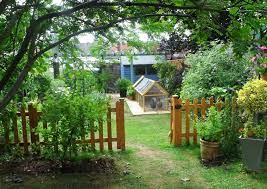 Maybe you would like to learn more about one of these? Got A Garden Then You Can Keep Chickens Your Chickens