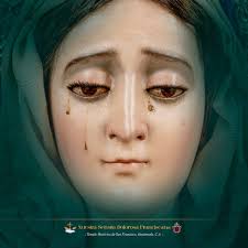 Cofradía de la Santa Vera Cruz