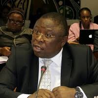 1800+ "Dani Daniel" profiles