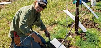 Pest control in reno, nv. Charles Schembre Brings Vineyard Experience To Desert Farming Initiative University Of Nevada Reno