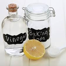 Harga hercules bakels double acting baking powder. Baking Soda Vs Powder Differences Substitutes More