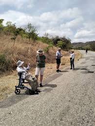 Image result for Adenia karibaensis