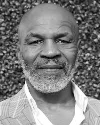 The Value of Lifelong Learning and Curiosity