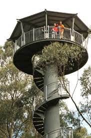 Otway Fly Treetop Adventures Wellness Design Tree House Adventure