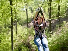 Waren sie schon mal in elmstein? Ziplinepark In Elmstein Von Baum Zu Baum Mydays
