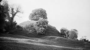 Make sure the mulch is at least 5 inches away from the trunk spread the mulch around the tree into the surrounding landscape as wide as you like, tapering out to. Fairy Mound And Hawthorn Trees O Malley Collection