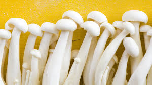 Buying shrooms online can be such a hassle as these great psychedlic products are illegal in most of the 50 states in the usa, canada, united kingdom, france, china etc. Why Mushrooms Are Trendier Than Ever Real Simple