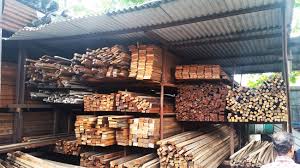 Kayu bengkirai atau shorea lavefolia endent merupakan salah satu jenis kayu kalimantan yang cukup terkenal. Sabil Syukur Membeli Dan Menjual Kayu Lama Terpakai Zinc Dan Plywood Buying Selling Of Used Wood Timber Zinc Plywood