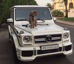 Mercedes Electric G Class A Guide To All The News We Know So Far In 2020 Fancy Cars Cute Cars Lux Cars