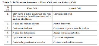 •all cells are filled with cytoplasm. Class 7 Science Cell Structure And Function Advanced Notes Concepts For Science Revision Notes