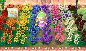If you build a police station, you might find flower seeds in the lost and found. Animal Crossing Rainbow Flowers Animal Crossing Qr Animal Crossing