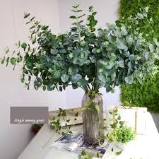 Check spelling or type a new query. Site Currently Unavailable Plant Eucalyptus Planting Flowers Artificial Flowers