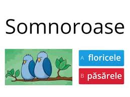 Puiul tau are nevoie de o mamica informata! Mihai Eminescu Somnoroase Pasarele Resurse Didactice