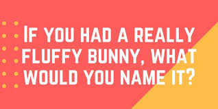 Dating questions are a fun way to get to know someone in a new relationship. 100 Funny Questions To Ask Your Boyfriend Pairedlife