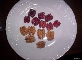 Image result for antraknóza ořešáku