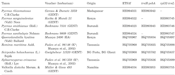 Image result for Pycreus xantholepis