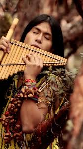 Epingle Par Deriviere Sur Les Indiens Du Monde Flute De Pan Photo Indien Photos
