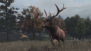 Completing hunting requests is also required to unlock a trophy/achievement called Rockstar Game Tips Hunting Wildlife In Red Dead Redemption Part 3 Rockstar Games