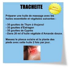 Le Thym A Thujanol Pour Les Maladies De L Hiver Huiles Essentielles Aromatherapie Comment Soigner Huiles Essentielles Thym