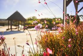 Cliquez pour afficher le(s) numéro(s). Spring And September The Perfect Time For A Camping Holiday Here In Argeles