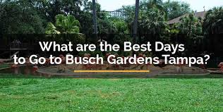 What Are The Best Days To Go To Busch Gardens Tampa Find