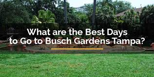 what are the best days to go to busch gardens tampa find