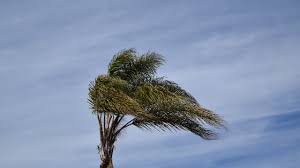The taste of chicago brought to virginia beach. Socal Could See Extreme Fire Weather As Humidity Drops Amid Hot And Windy Conditions Ktla
