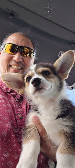 I'm not a fan of selfies