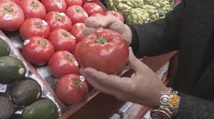 View tomato's italian grill's menu / deals + schedule delivery now. Tip Of The Day Beefsteak Tomatoes Youtube