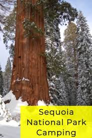 At 2300 feet 25 min below the snow line our temperatures stay mild even in the winter for year round camping comfort! Sequoia National Park Camping In 2021 Sequoia National Park Camping Kings Canyon National Park Sequoia National Park