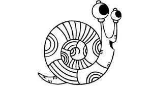 Ausmalbild Schnecke Bild Swr Ausmalbilder Malvorlagen