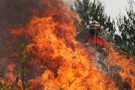 Há locais inacessíveis, garante o comandante pedro araújo, oficial da proteção civil. Mais De 670 Bombeiros Tentam Controlar Incendio Em Odemira Portugal Edicao Portugal Agencia Efe
