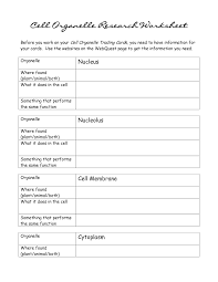 Organisms rely on their cells to perform all necessary functions of life. Cell Organelles And Functions Worksheet Answers Promotiontablecovers