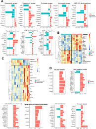Gut Microbial Taxa Elevated By Dietary Sugar Disrupt Memory Function |  Translational Psychiatry