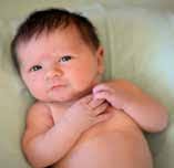 REPORTER INDEPENDENT