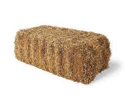 Straw Bales Size Google Search Wheat Straw Straw Bale Gardening Straw Bales