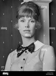 The nanny film -Fotos und -Bildmaterial in hoher Auflösung