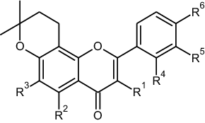 Image result for Ptycholobium contortum